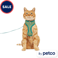Leashes for Cats & Kittens | Petco