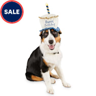 Dog hats near me clearance