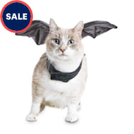 Cat sweaters petco Clearance