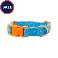 Newborn puppy collars petco Clearance