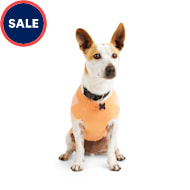 Petco | Dog Fashion, Dog Apparel