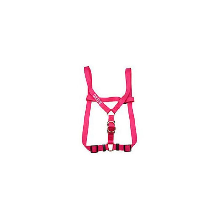 Coastal - Comfort Wrap - Adjustable Dog Harness  Pink Flamingo  1  x 26 -38