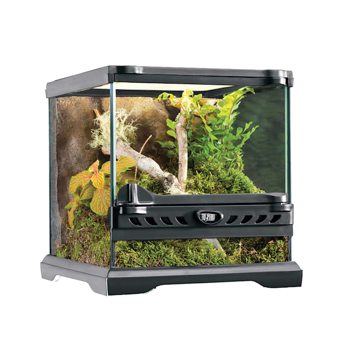 Exo Terra Nano Glass Terrarium Reptile Habitat - 8in x 8in x 8in