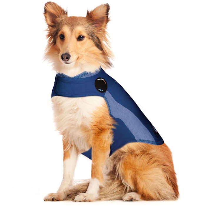 ThunderWorks Thundershirt Blue Polo Dog Anxiety Solution, Large -  BSSL-T01