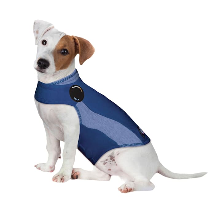 ThunderWorks Thundershirt Blue Polo Dog Anxiety Solution, Small -  BSSS-T01