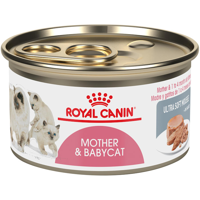 Royal Canin Feline Health Nutrition Mother & Babycat Ultra Soft Mousse in Sauce Canned Cat Food, 3 oz., Case of 24, 24 CT