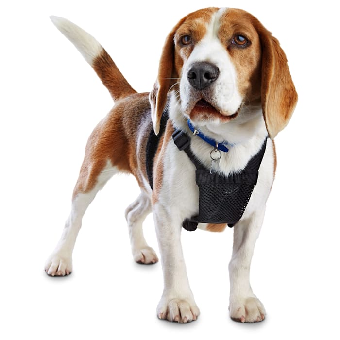 UPC 800443977422 product image for Good2Go Black No Pull Dog Harness, Small | upcitemdb.com