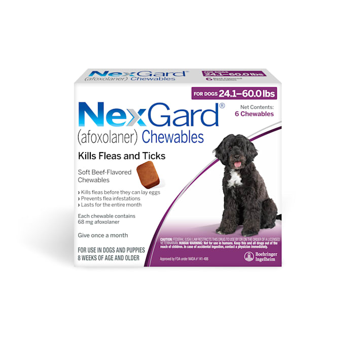 NexGard Chewables for Dogs 24.1 to 60 lbs., 6 Month Supply, 6 CT -  51113