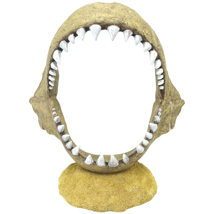 Penn-Plax Deco-Replicas Shark Jaw Aquarium Resin Decoration - Freshwater and Saltwater Safe
