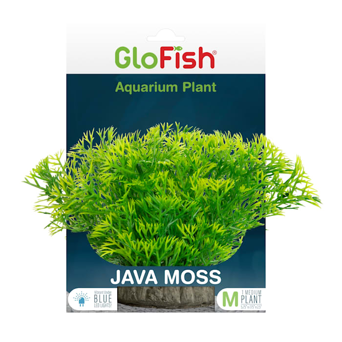 GloFish AQ-78279