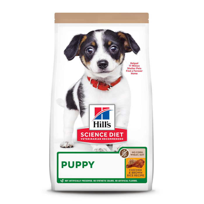 Photos - Dog Food Hills Hill's Hill's Science Diet No Corn, Wheat or Soy Chicken Dry Puppy Food, 1 