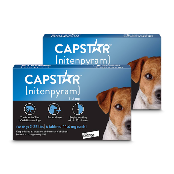 Capstar Flea Tablets for Dogs 2-25 lbs., Count of 12, 12 CT -  CA4920Y07AMZ1-CS