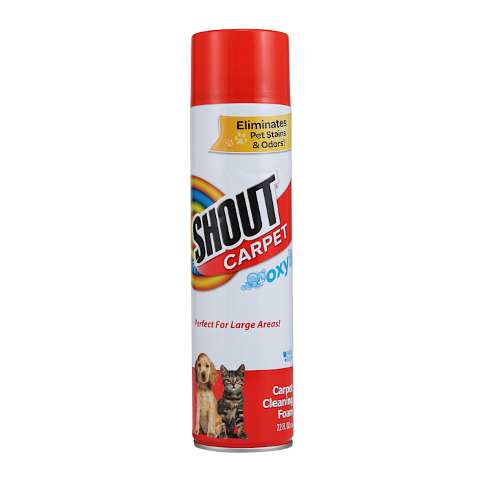 UPC 742797765341 product image for Shout Carpet Cleaning Aerosol Foam with Oxy for Pet Stains and Odors, 22 fl. oz. | upcitemdb.com