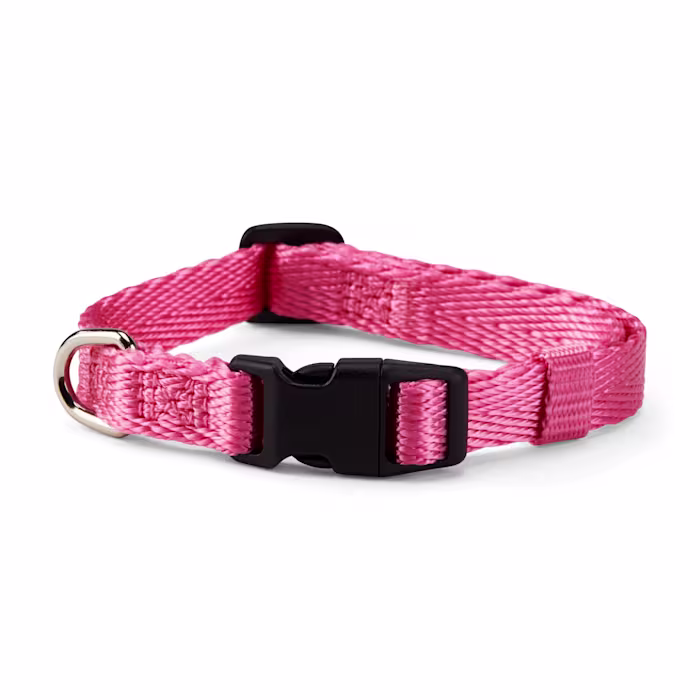 YOULY The Classic Pink Webbed Nylon Dog Collar, Small
