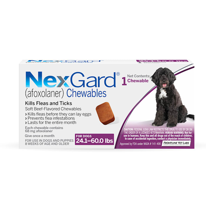 NexGard Chewables for Dogs 24.1 to 60 lbs., 1 Month Supply, 1 CT -  25072410MD