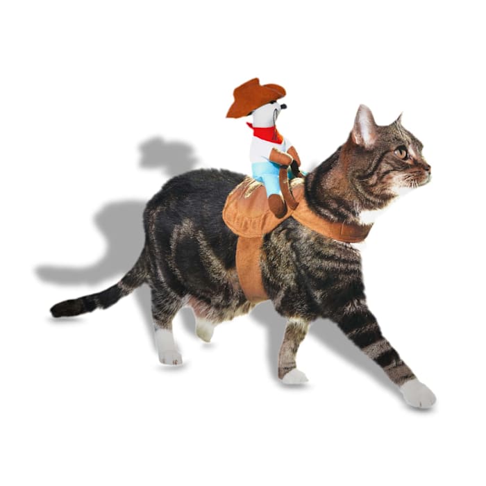Get the best deal on a Bootique Kitty Up Costume for Cats, Small/Medium, Multi-Color