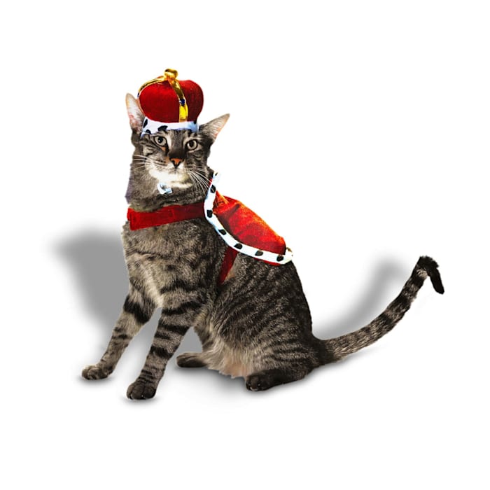 Get the best deal on a Bootique King (For a Day) Costume for Cats, X-Small, Red