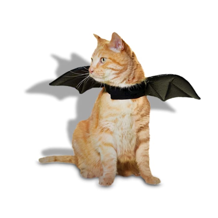 Get the best deal on a Bootique Bat Costume for Cats, X-Small, Black