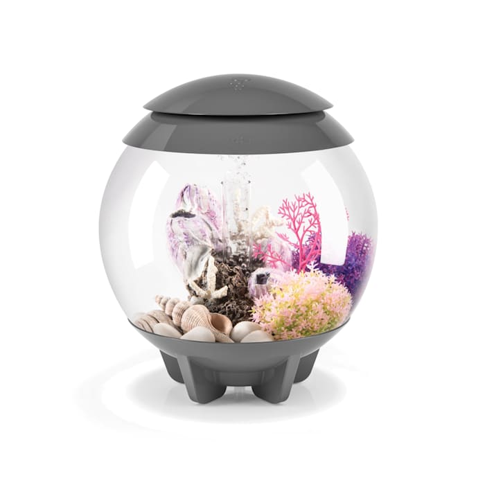 biOrb Halo 15 Aquarium with MCR Light  4 Gallon  Gray