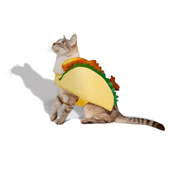 Get the best deal on a Bootique Fish Taco Costume for Cats, Small/Medium, Multi-Color