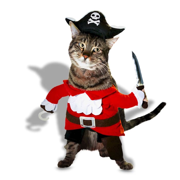Get the best deal on a Bootique Pirate Costume for Cats, X-Small, Multi-Color