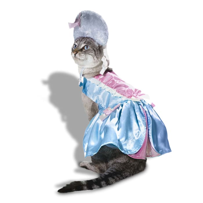 Get the best deal on a Bootique Fancy Costume for Cats, Small/Medium, Multi-Color