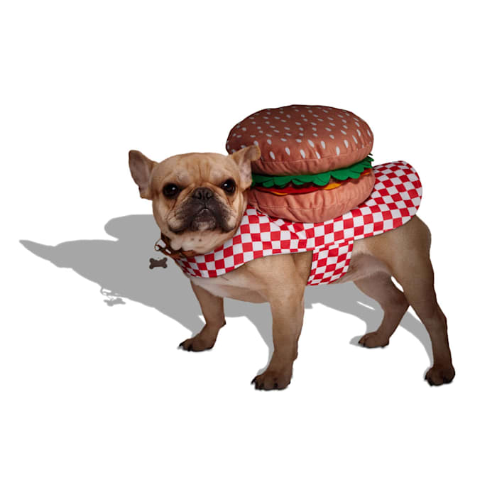 Get the best deal on a Bootique Hamburger Costume for Dogs & Cats, X-Large, Multi-Color