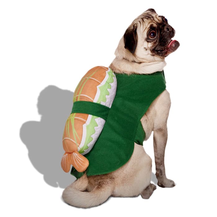 Get the best deal on a Bootique Sushi Costume for Dogs & Cats, Large, Multi-Color