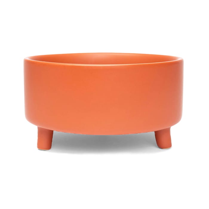 Uplift Bowl Ceramic Dog Bowl