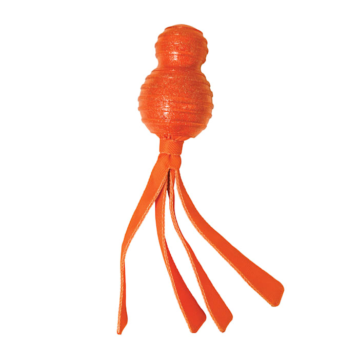 Photos - Other for Dogs KONG Wubba Comet Assorted Dog Toy, X-Large WBTC1 