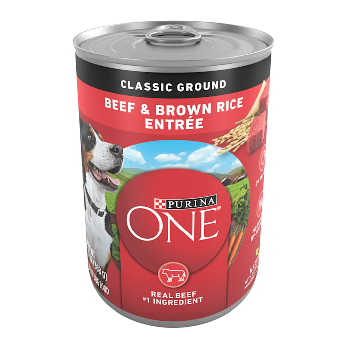 UPC 017800125956 product image for Purina ONE Natural Classic Ground Beef & Brown Rice Entree Wet Dog Food, 13 oz., | upcitemdb.com