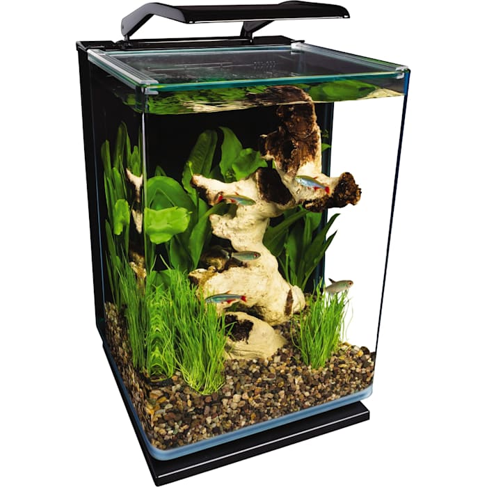 Marineland Portrait Glass LED aquarium Kit  5 Gallons  Hidden Filtration