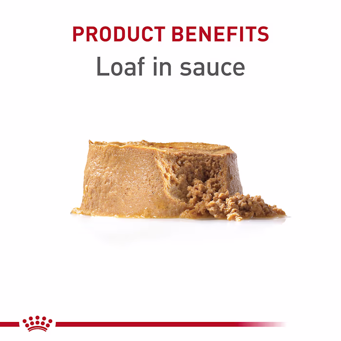 (BBD 11/18/26). Royal Canin Canine Health Nutrition Puppy Canned Dog Food Variety Pack, 13.5 oz., Count of 6