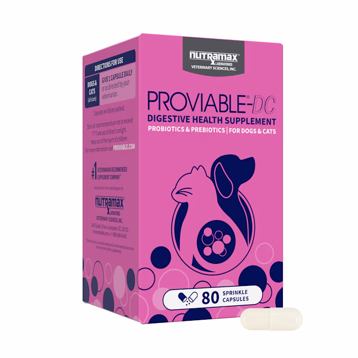 Get in the Game, Bid Your Fame!