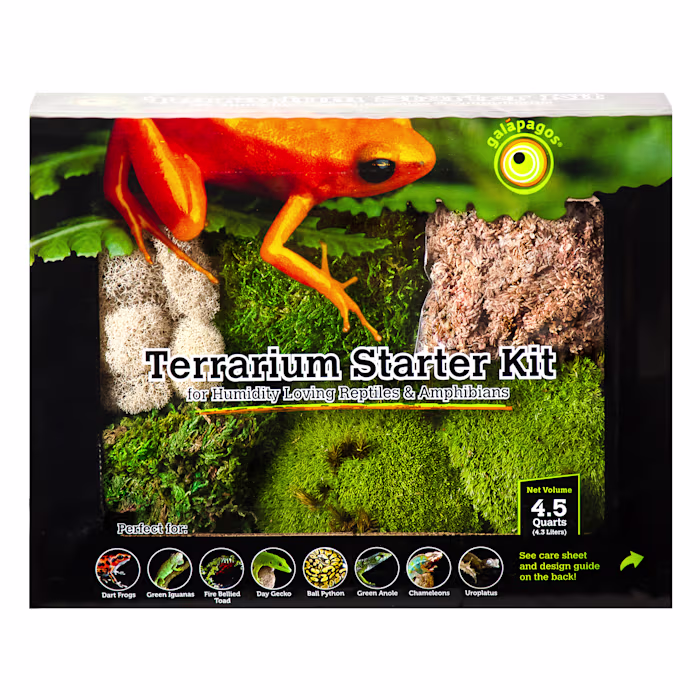 Galapagos Terrarium Starter Kit Humid Environment