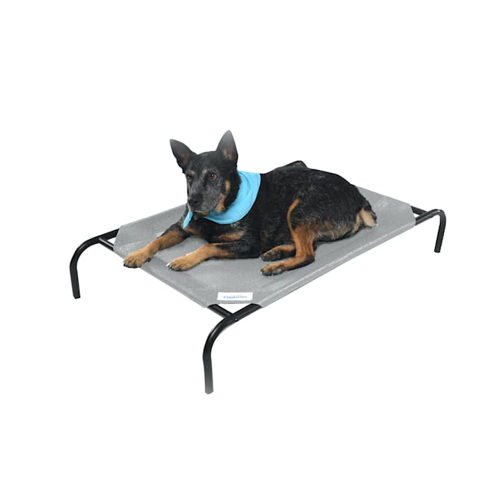 The Original Coolaroo Elevated Pet Dog Bed for Indoors & Outdoors  Medium  Gray