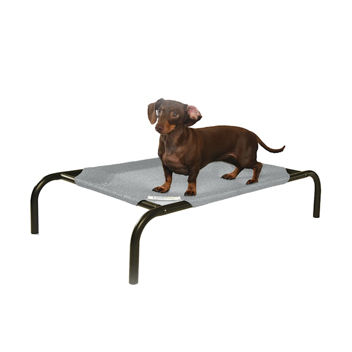 The Original Coolaroo Elevated Pet Dog Bed for Indoors & Outdoors  Small  Gray