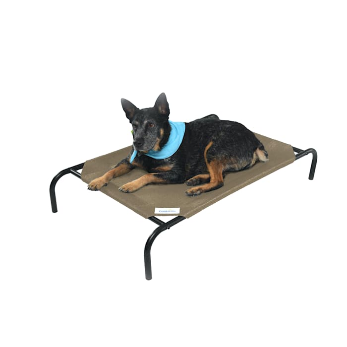 The Original Coolaroo Elevated Pet Dog Bed for Indoors & Outdoors  Medium  Nutmeg