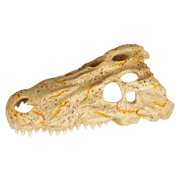Zilla Rapid Sense UV Detecting Crocodile Skull Décor for Reptiles  Medium