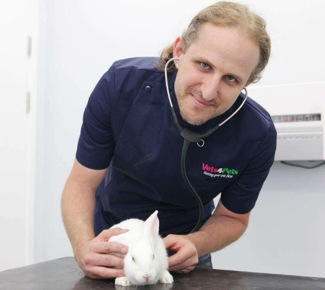 David Elbeze, DVM, MRCVS
