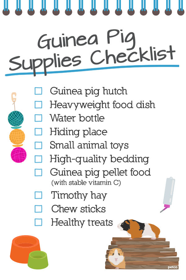 supplies needed for a guinea pig