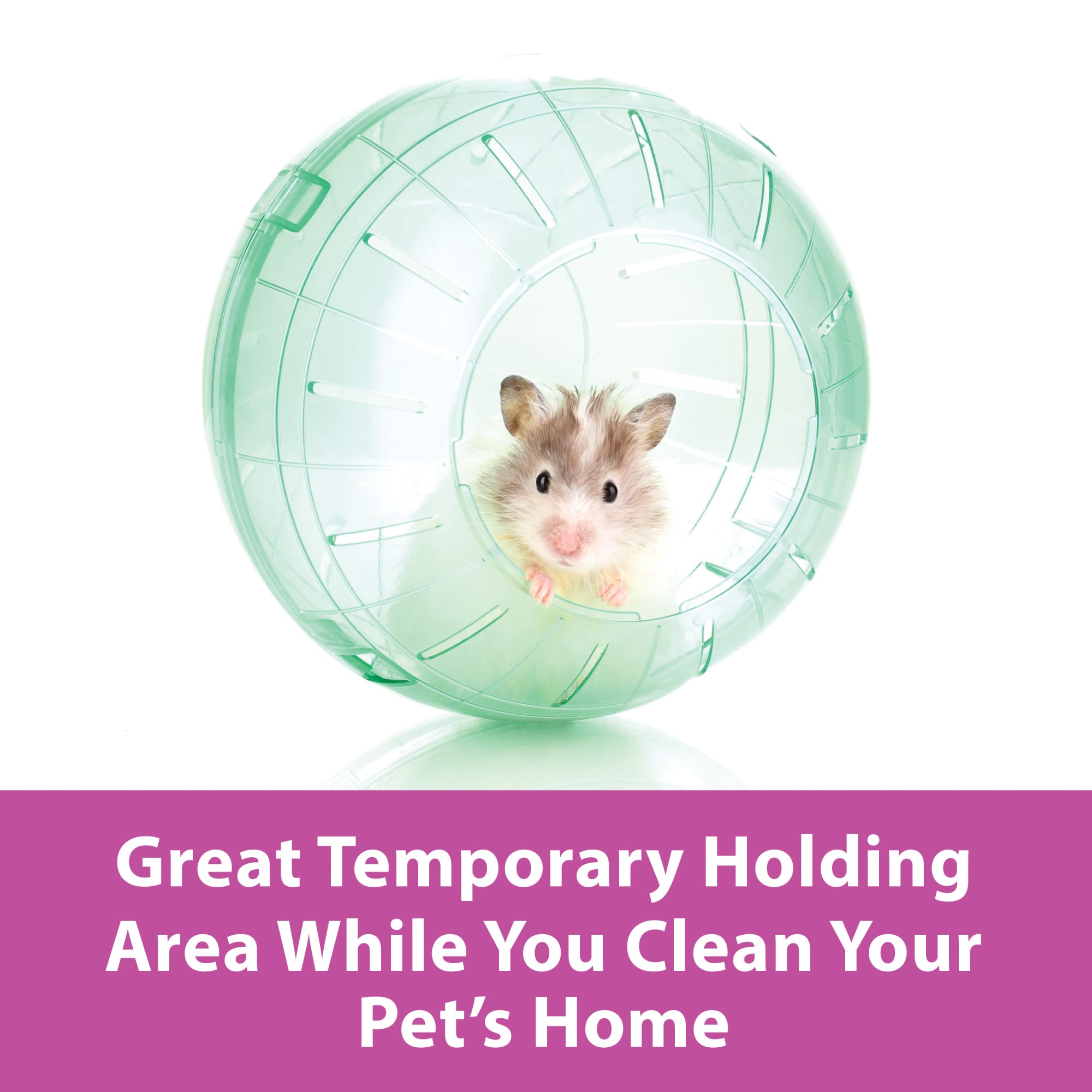 Petco hot sale hamster ball