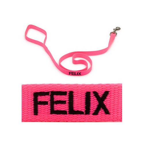 Coastal Pet Personalized Neon Pink Single-Ply Dog Leash, Medium