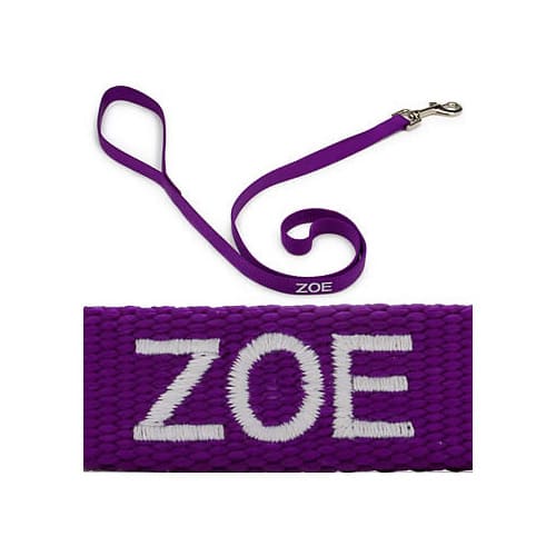 Coastal Pet Personalized Purple Single-Ply Dog Leash, Medium