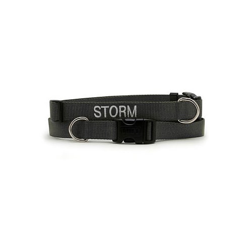 Coastal Pet Adjustable Nylon Tuff Collar in Black, 3/8 W, Small