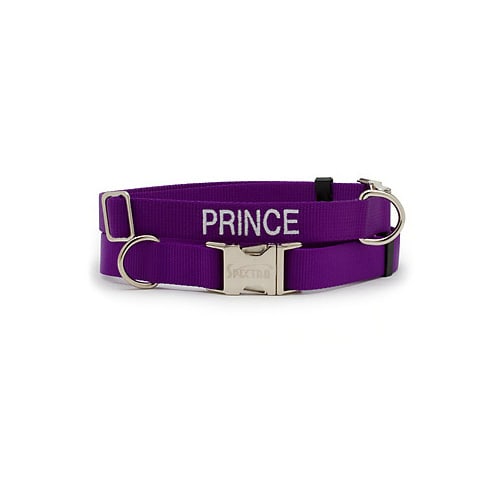 Coastal Pet Personalized Adjustable Nylon Spectra Collar in Purple, 3/4 Width, Medium/Large