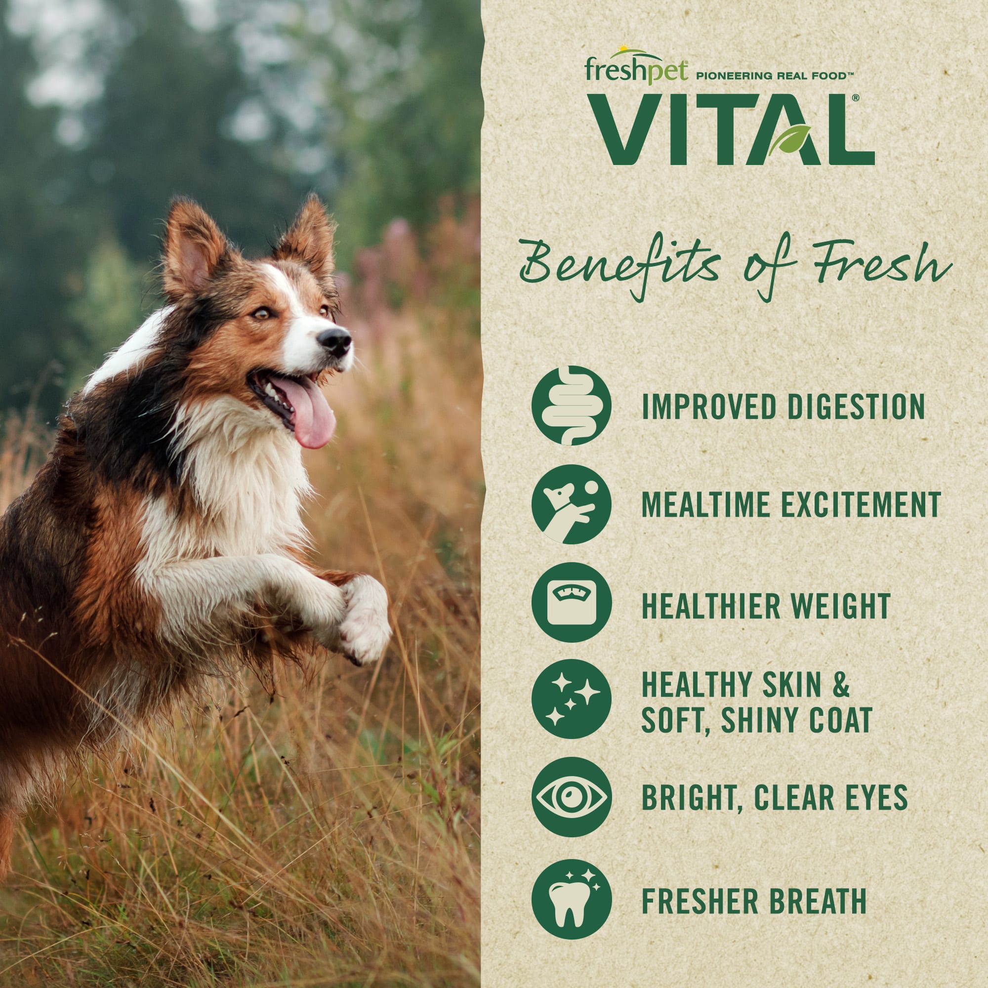 Vital balanced nutrition sales dog food