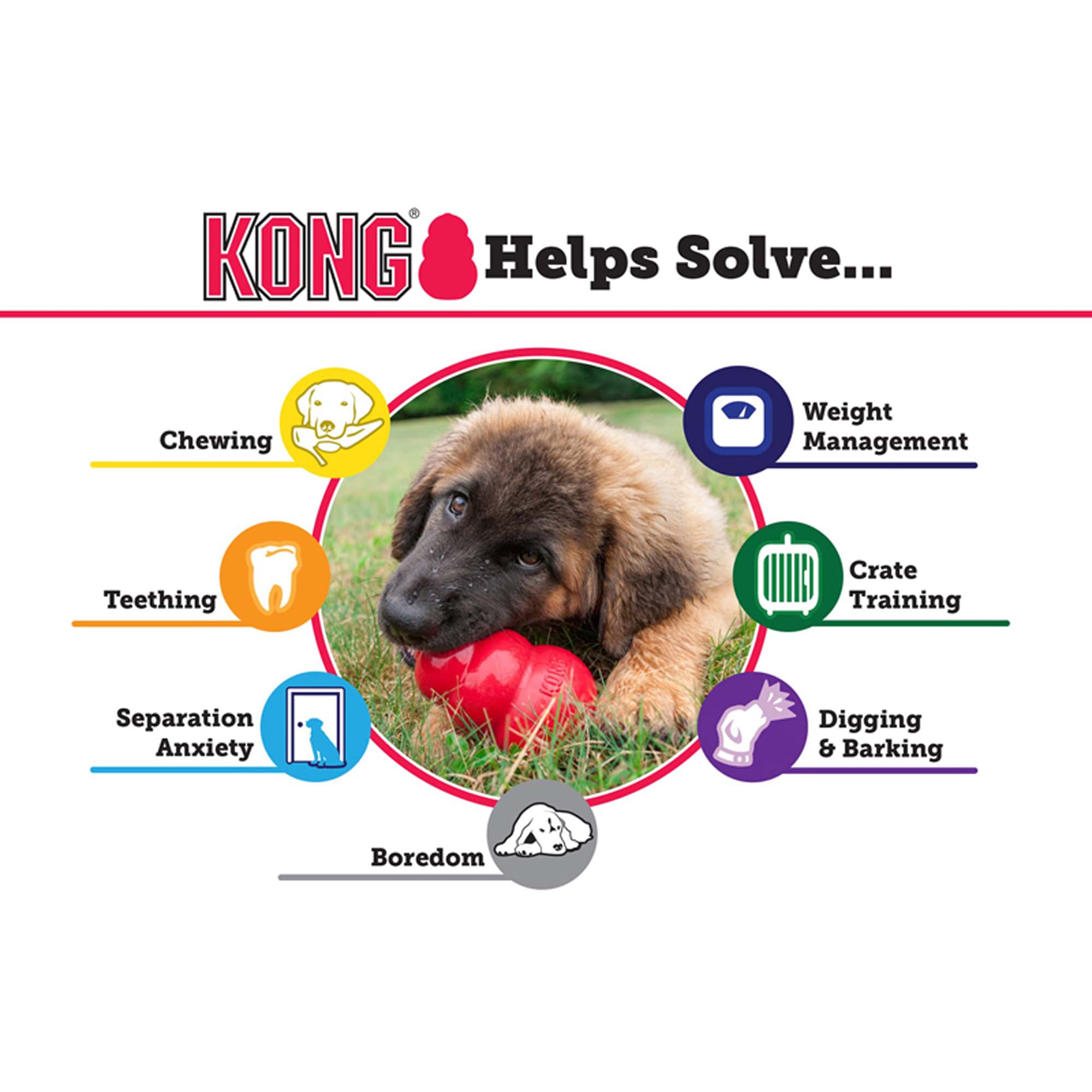 Departments - Kong Senior Dog Toy Rubber Purple Medium