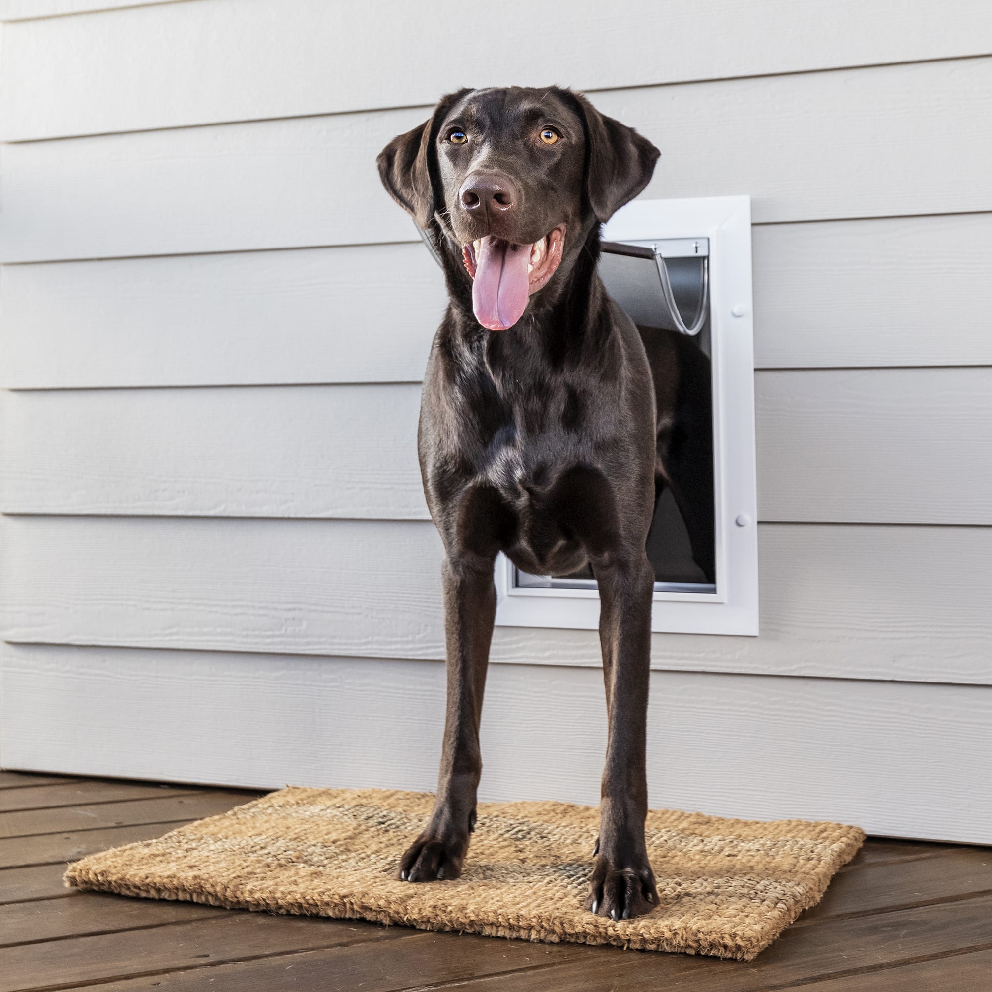 Petco pet sale door