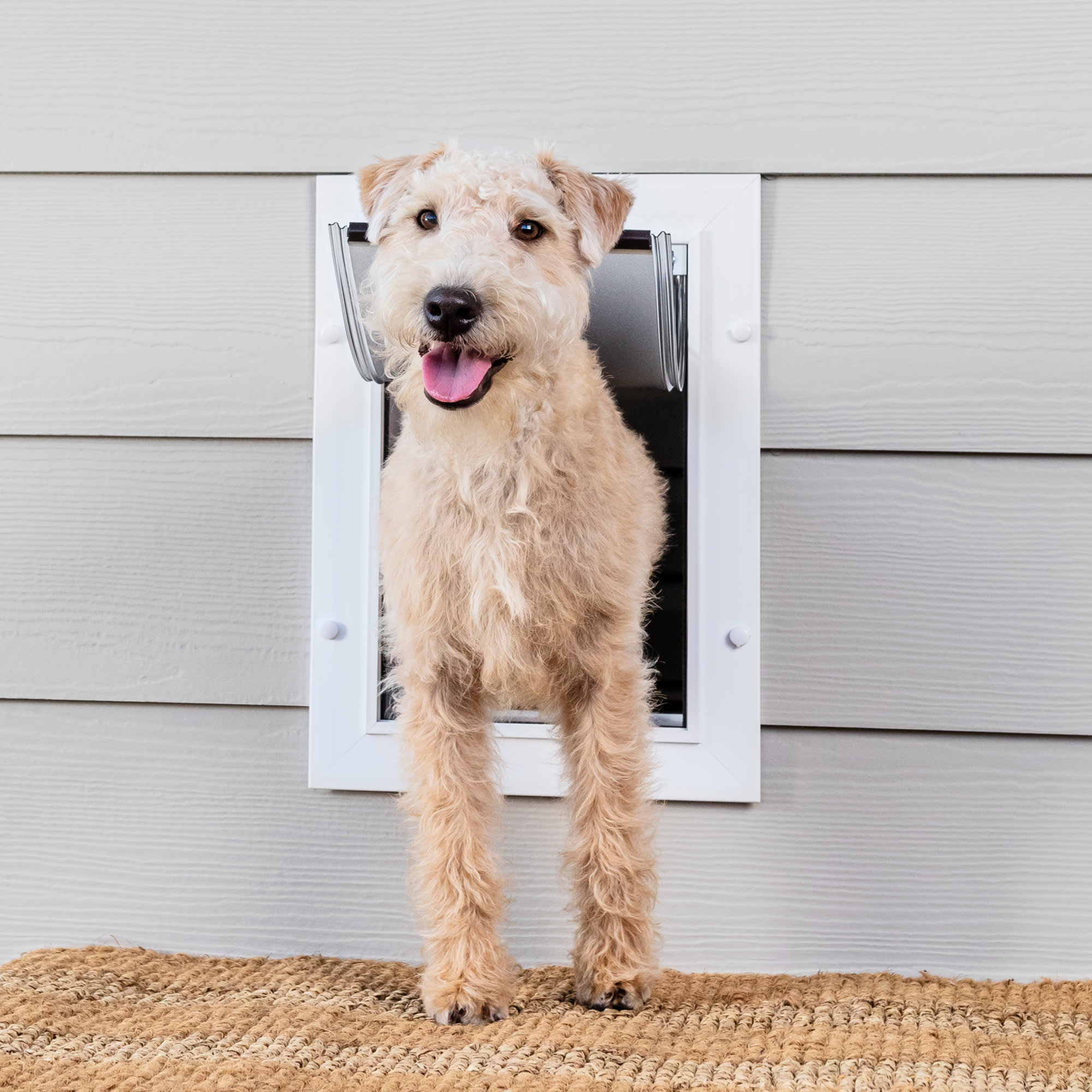 Pet Doors Petco